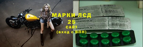 гидра Краснослободск