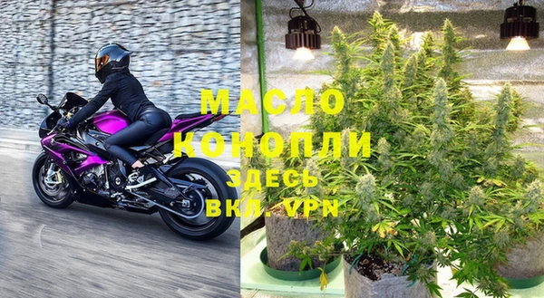 гидра Краснослободск