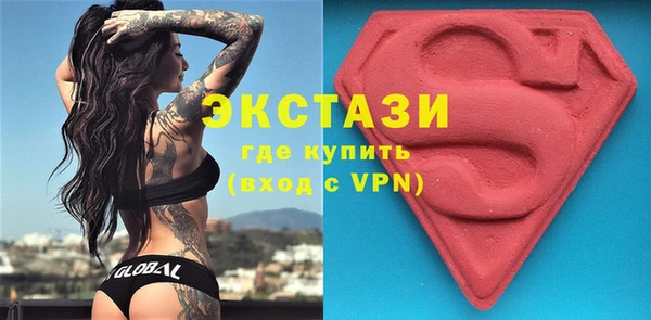 гидра Краснослободск