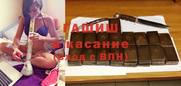 гидра Краснослободск