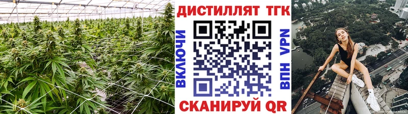 купить   MEGA вход  Дистиллят ТГК жижа  Макарьев 